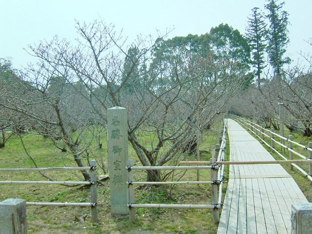 䎺̍