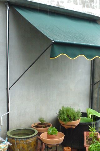 �x�����_�S�i